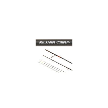 CARP EXPERT SILVER CARP HEAVY FEEDER 3+3 SEC., 100-200G, 3,90M