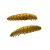 LIBRA LURES - larva 35 - - cheese - Szín: 036 - coffee milk
