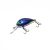HFL chafer - cobalt chameleon