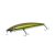 HFL bleak minnow - golden fever