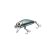 HFL baby minnow - green chameleon