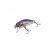 HFL baby minnow - clear cobalt back
