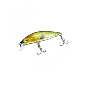 HFL flash minnow - nymph parrot