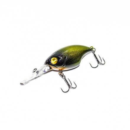 HFL kraken -  gold chameleon