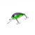 HFL chafer - green chameleon back