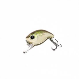 HFL little dancer - natural bait fish