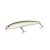 HFL bleak minnow - natural bait fish