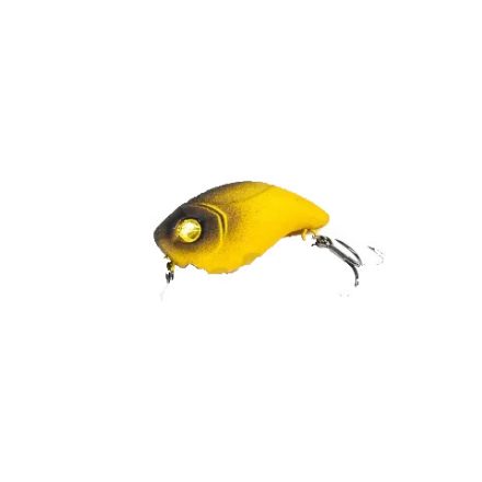 HFL little dancer - honey bee