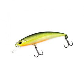 HFL ASPpanic - Dragonfish Limited