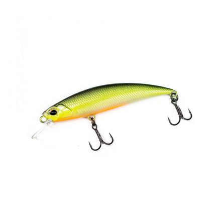 HFL ASPpanic Junior - Dragonfish.hu limited color