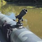 RAILBLAZA HEXX Ribport gumicsónak adapter