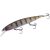 MAJOR CRAFT CEANA JERKBAIT 110SPS SHALLOW 11cm 16gr #010 Clear Perch