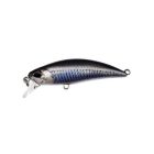 DUO tetra works toto 48hs 4.8cm 4.3gr cna0842 real anchovy