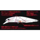 DUO REALIS JERKBAIT 100F 10cm 13.7gr ACCZ402 Gunmetal M White Tiger