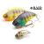 RAID level vib 54mm 10.6gr 043 sukebe gill
