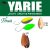 Yarie T-Fresh 2g E68 Caramel Gold