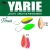 Yarie T-Fresh 2g E72 Kids Plum