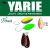 Yarie T-Fresh 2,4g E67 Winner Brown