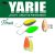 Yarie T-Fresh 2,4g E71 AG Carrot