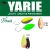 Yarie T-Fresh 2,4g E74 Lemon Squash