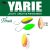 Yarie T-Fresh 2,4g Y53 Lemon/Orange
