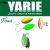 Yarie T-Fresh 2,4g Y75 Green Hololume