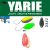 Yarie T-Fresh Evo 1,1g BS-5 Matte Red