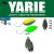 Yarie T-Fresh Evo 1,5g BJ-21 Edamame