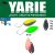 Yarie T-Fresh Evo 1,5g BJ-26 Noriko