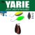 Yarie T-Fresh Evo 1,5g E67 Winner Brown