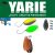 Yarie T-Fresh Evo 1,5g E68 Caramel Gold