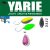 Yarie T-Fresh Evo 1,5g W4 Norinori Pink