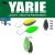 Yarie T-Fresh Evo 1,5g Y75 Green Hololume