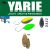 Yarie T-Fresh Evo 1,5g Y80 Karasi Spice
