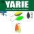 Yarie T-Fresh Evo 2g E71 AG Carrot