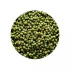 Genlog Oxygene Micro Pellet 2mm – kagyló 800g