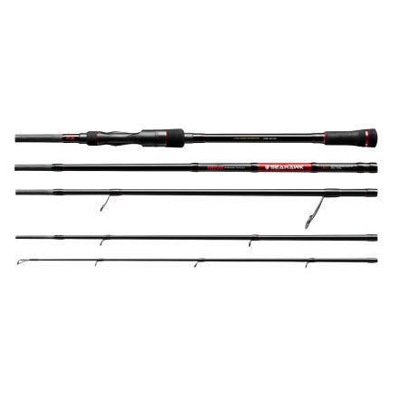 Reiva Seahawk 240cm 80MH 10-30g