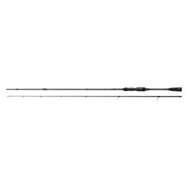 Reiva Fine Master 220cm 5-21g