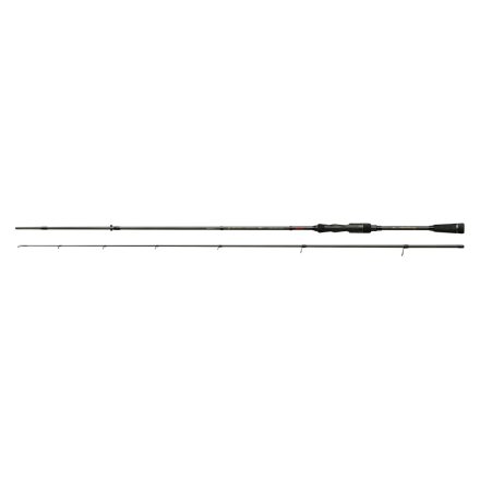 Reiva Fine Master 250cm 10-30g