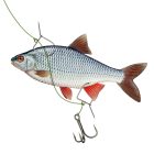 Nevis Csalikapocs harcsázáshoz S-es