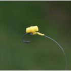 Carp Academy Lebegő pellet