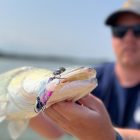 Reiva Blademaster 14g – Sunrise