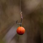 Stég Long Life Boilie 20mm – fűszeres mangó 800g