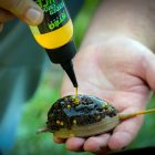 Stég Feeder Smoke Juice - mangó 60ml