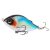 LUCKY JOHN arrow jerk 10f - 001