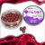 Promix Goost Power Wafter 10mm – squid 20g