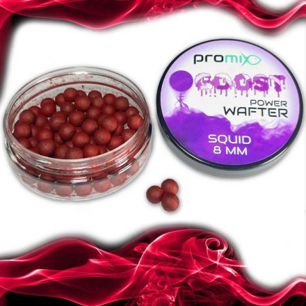 Promix Goost Power Wafter 8mm – squid 20g