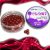 Promix Goost Power Wafter 8mm – squid 20g