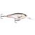 Rapala Shad Rap SR09 – ROHL