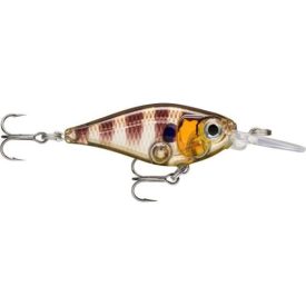 Rapala X-Light Shad 04 – CLN